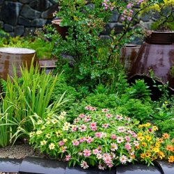 homeopathy for plants and garden is becoming more well known